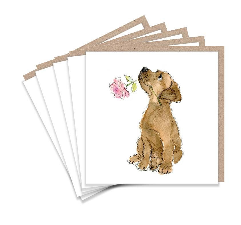 Notecard pack - 5 small quality cards with brown recycled envelopes (125 x 125mm)