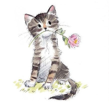 Notecard pack - 5 small quality cards with brown recycled envelopes (125 x 125mm)