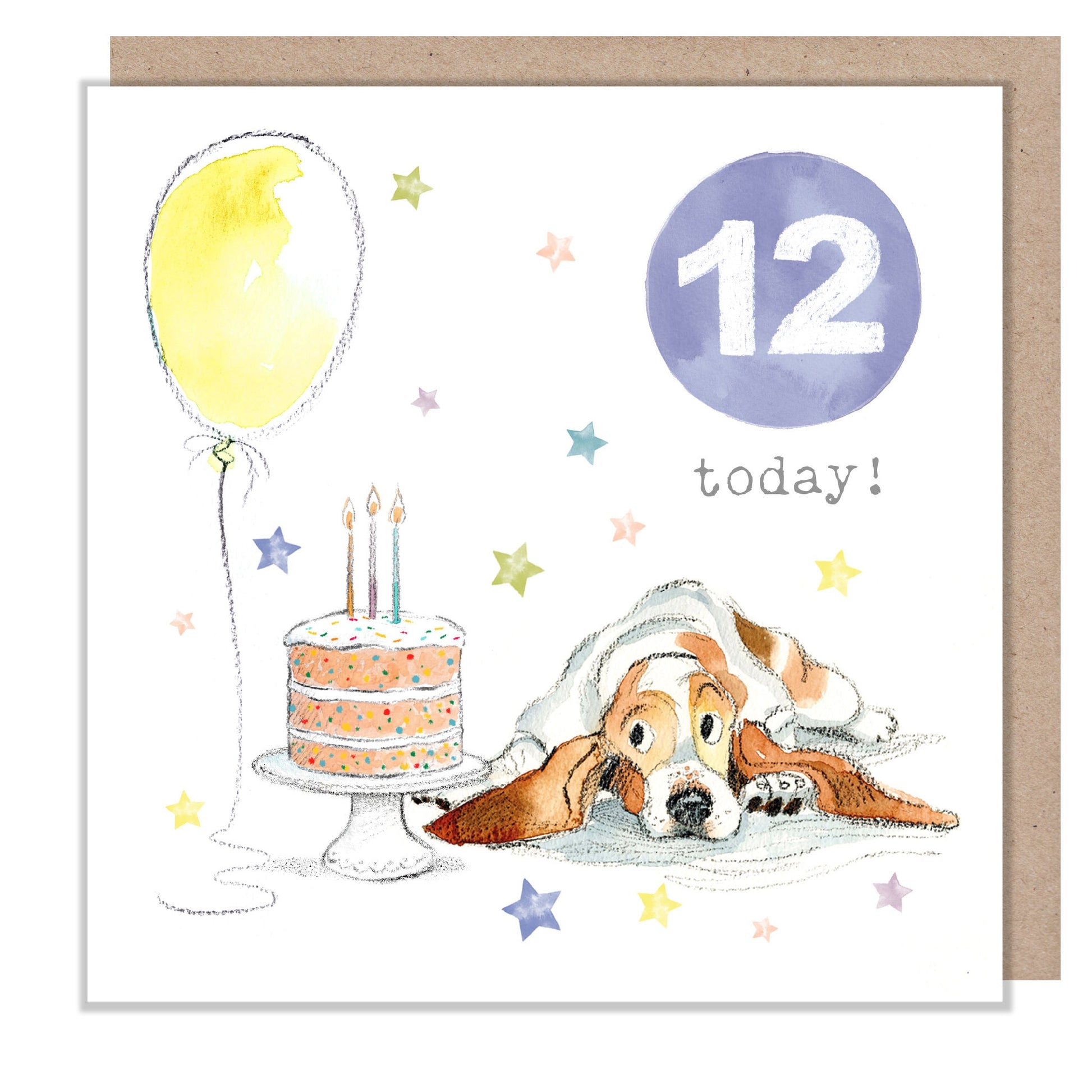 age 12 today Card: Basset Hound Illustration, 'Party Time' Range PTAGE012