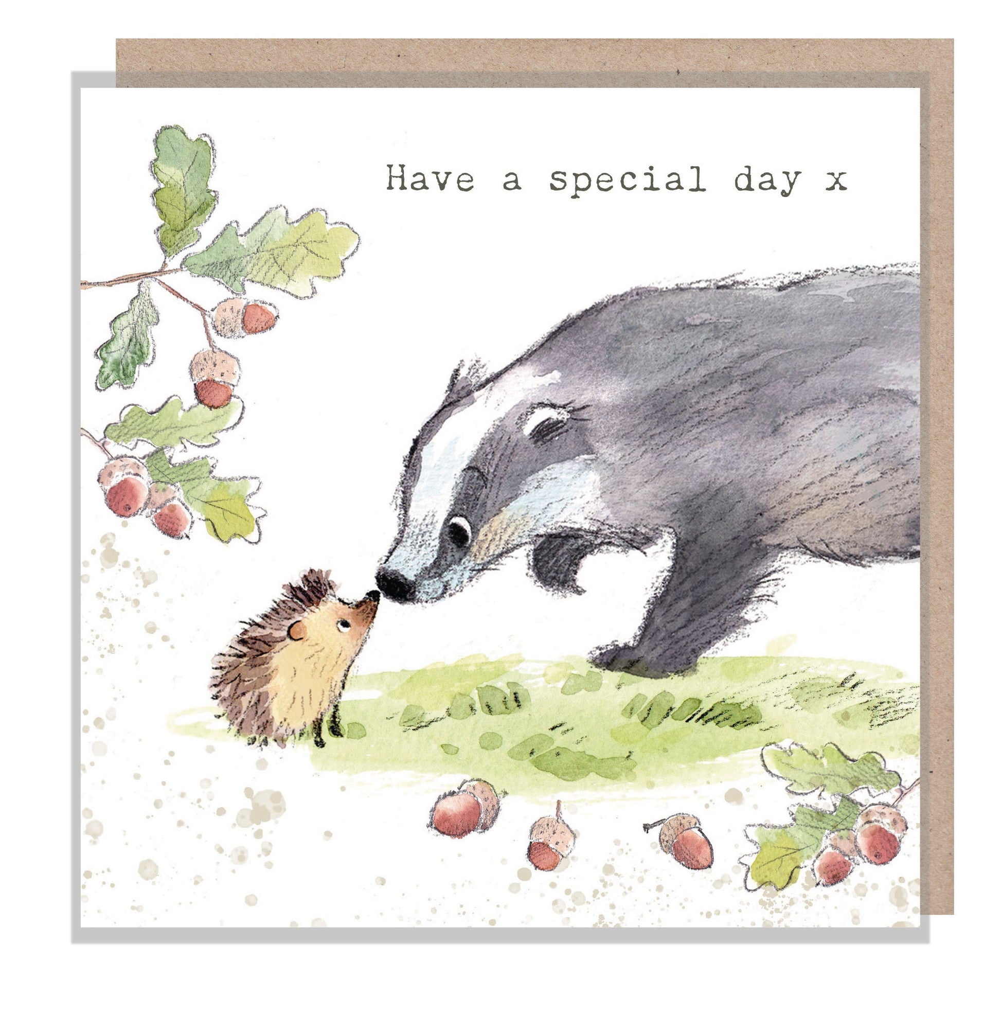 Badger Card - Have a Special Day - Quality Card - Charming Badger and Hedgehog illustration - 'Bucklebury Wood'  range - Made in UK -  BWE02