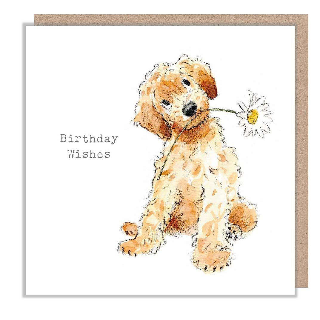 Birthday Card - Quality Greeting Card - Charming Dog illustration - 'Absolutely barking' range -  Cockapoo - Made in UK -  ABE091