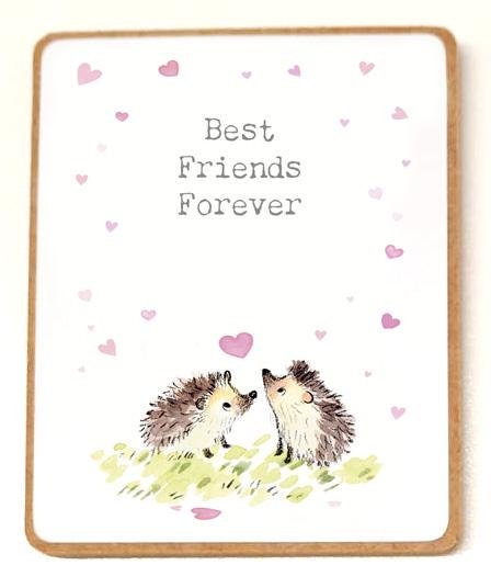 Quality Fridge Magnet - Best Friends - Hedgehog design - MDF-  Made in the UK - FM03