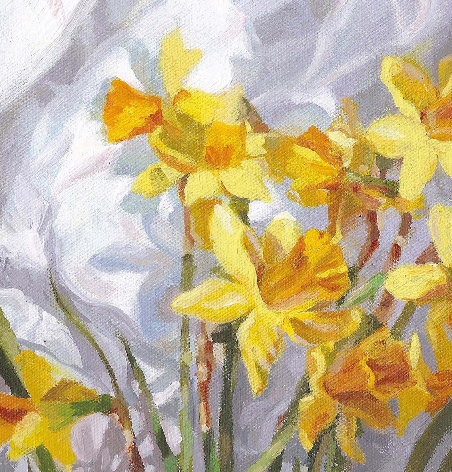 Daffodils - Quality Greeting Card, 'The Flower Gallery' range, Paper Shed Design, Art Card, Blank inside,