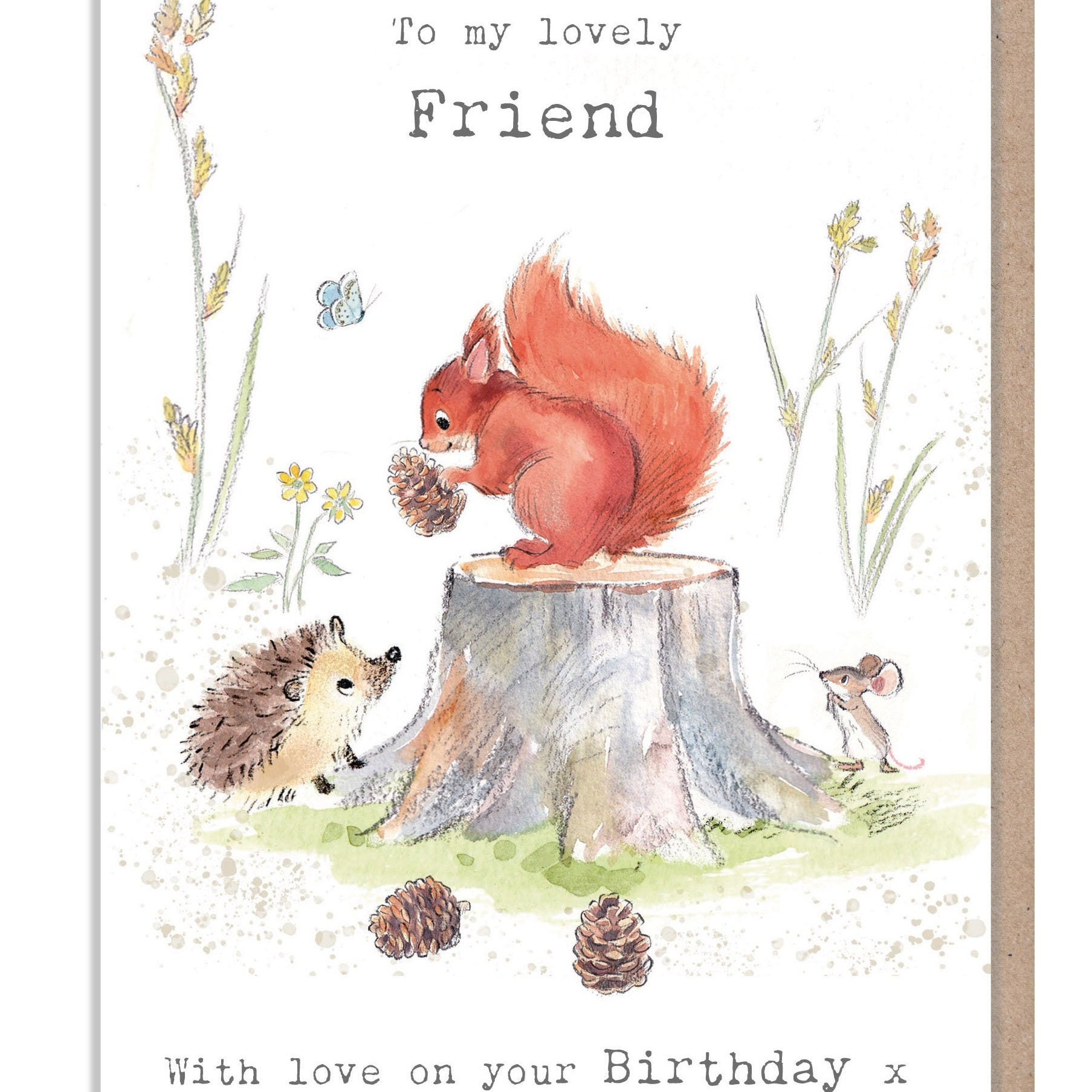 Friend Birthday Card - Cute Hedgehog and Squirrel Illustration - BWE026