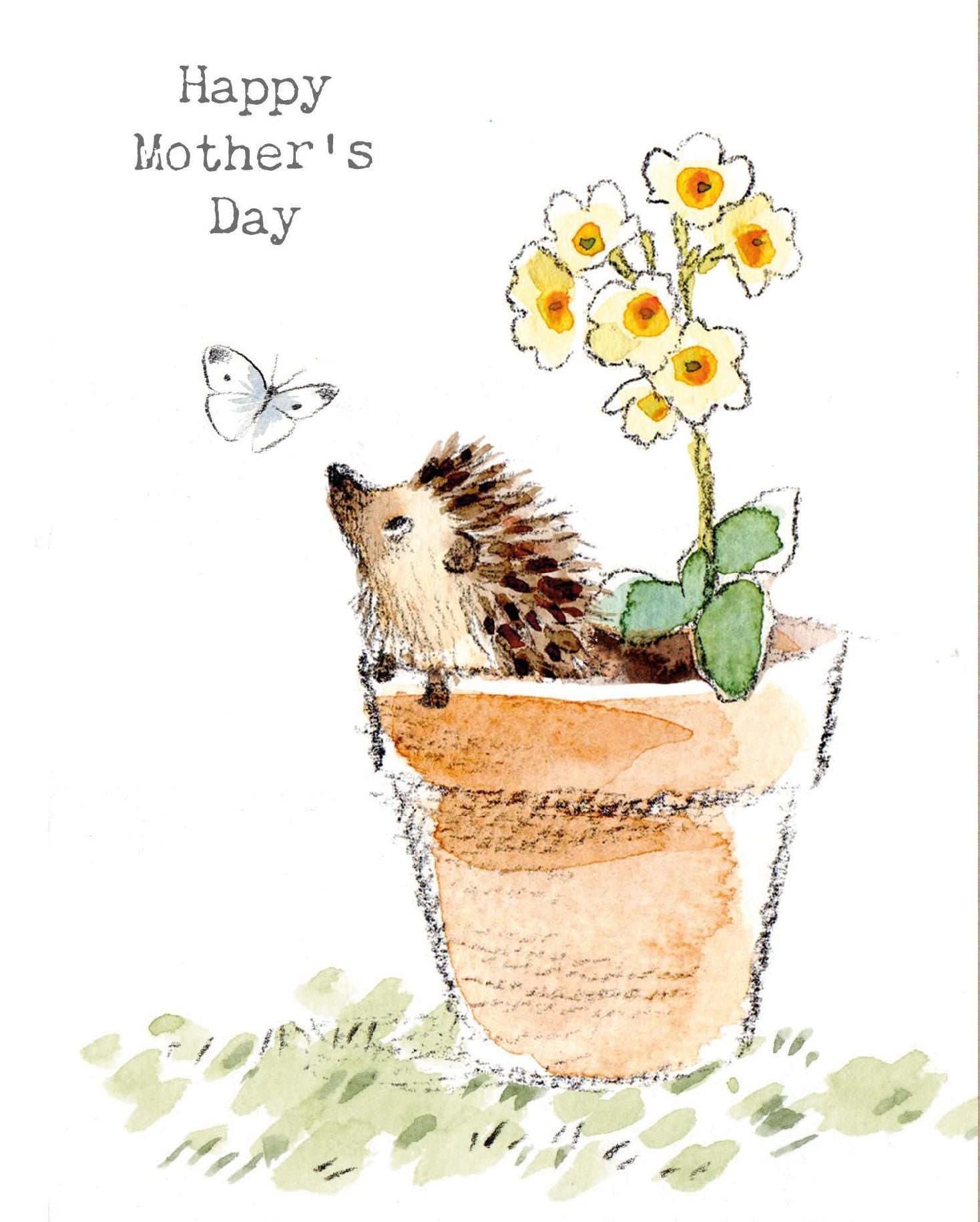Mothers day - Quality Card - Charming illustration - Hedgehog in Flowerpot - 'Bucklebury Wood'  range - Made in UK -  BWMD02