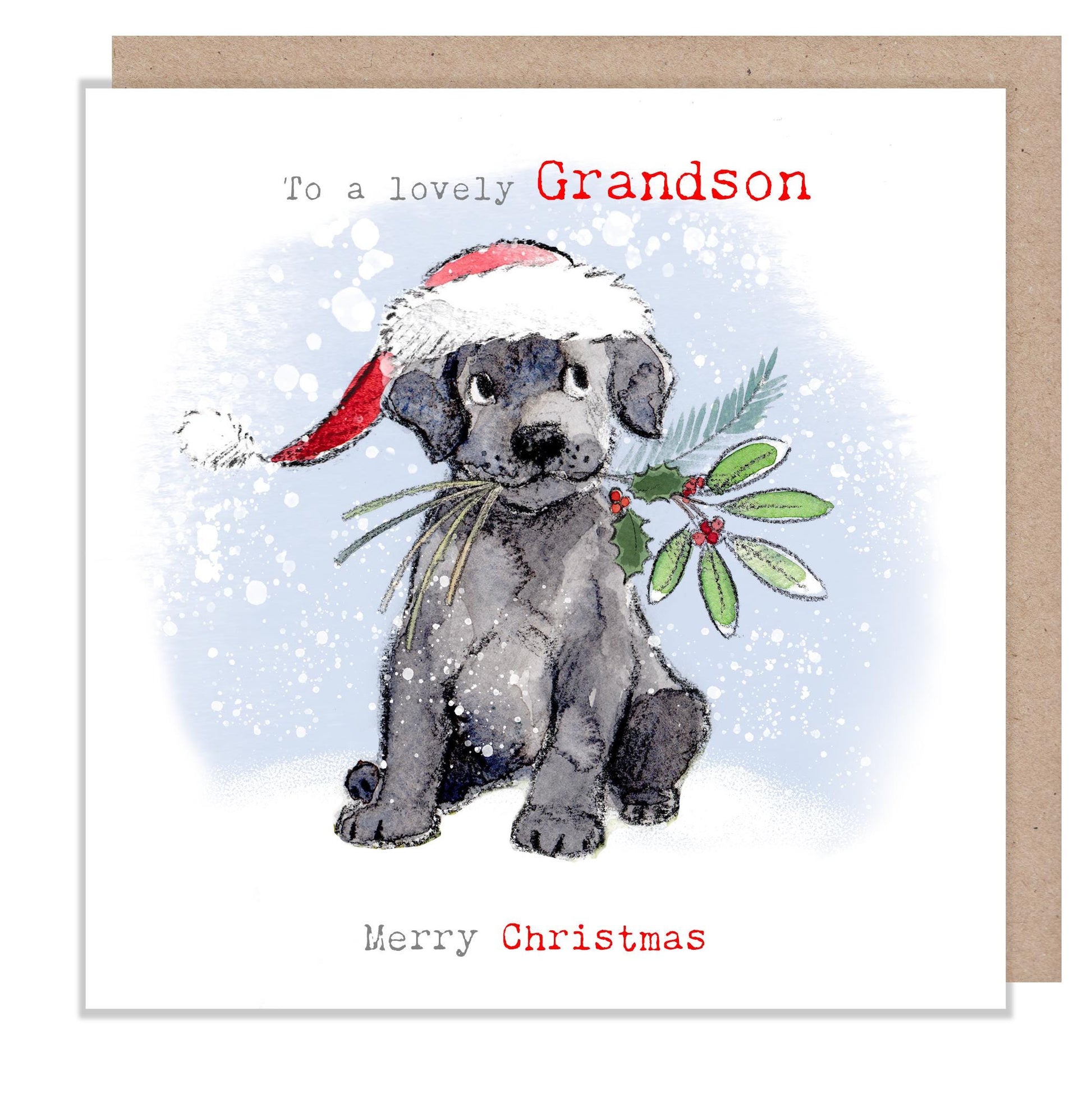 Grandson Christmas card  - Charming illustration - 'Absolutely barking' range - Black Labrador - Made in UK -  ABX133