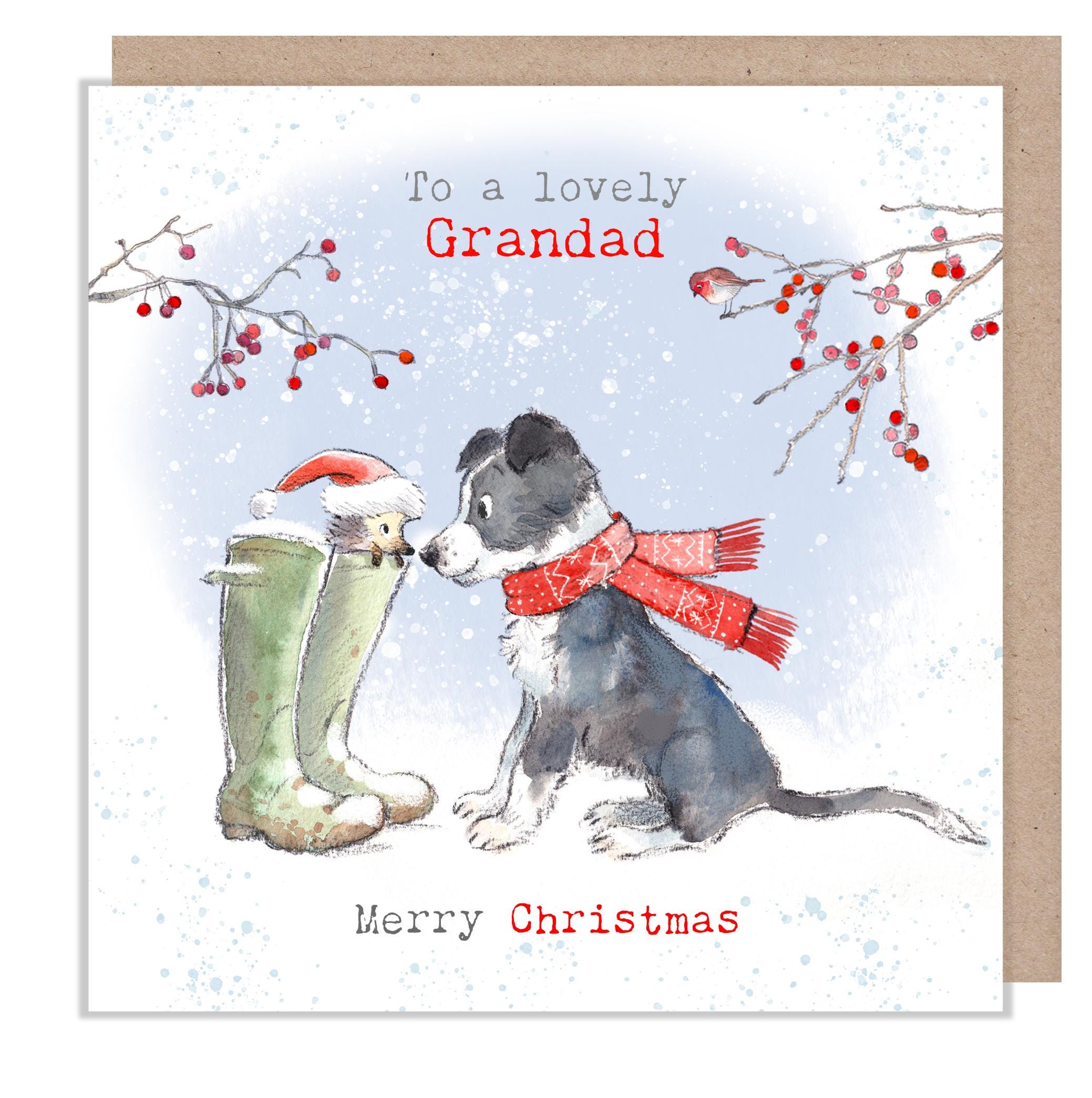 Grandad Christmas card - Charming illustration - 'Buttercup Farm' range - Collie Dog and Hedgehog - Made in UK -  BFX012
