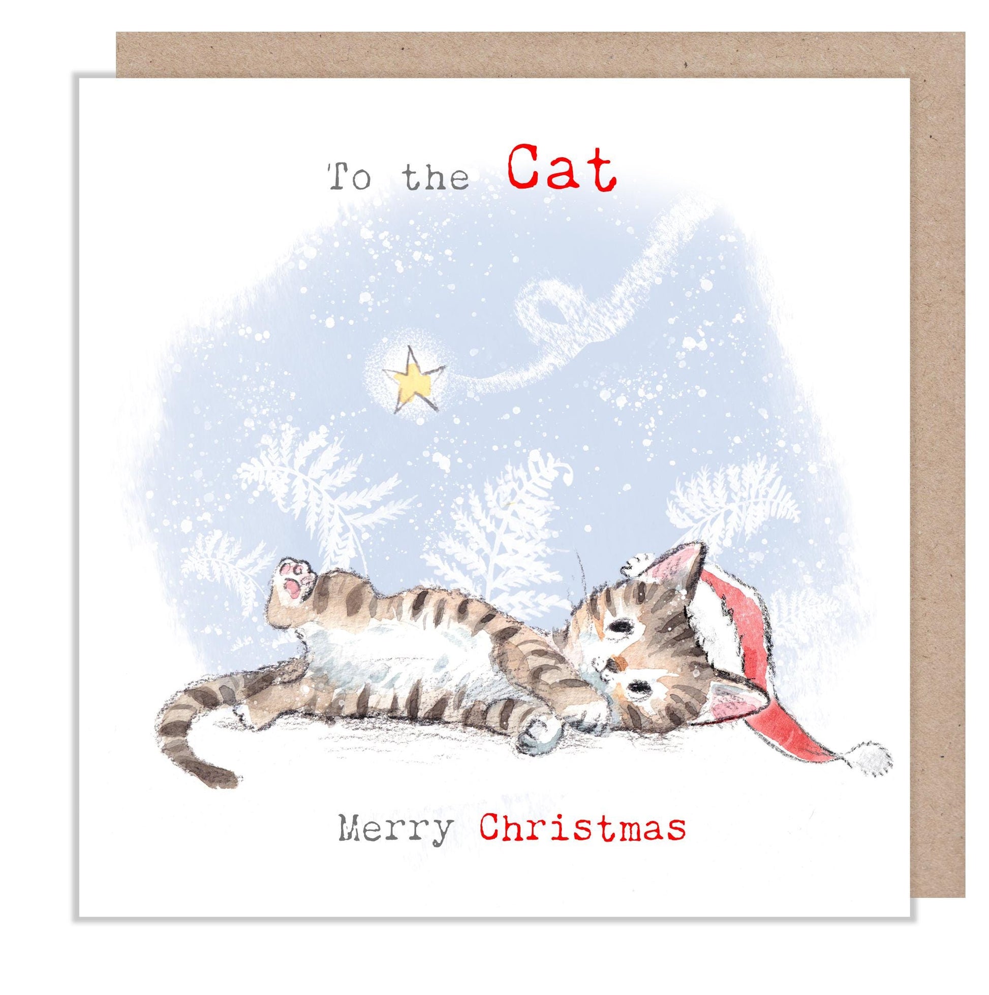 To the Cat Christmas Card -Festive Fun - Cat illustration 'Pawsitively Purrect' range - Cat looking at shooting star - Made in UK -XPP017